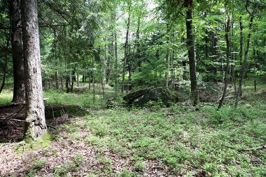 Country Road Callicoon NY 12723