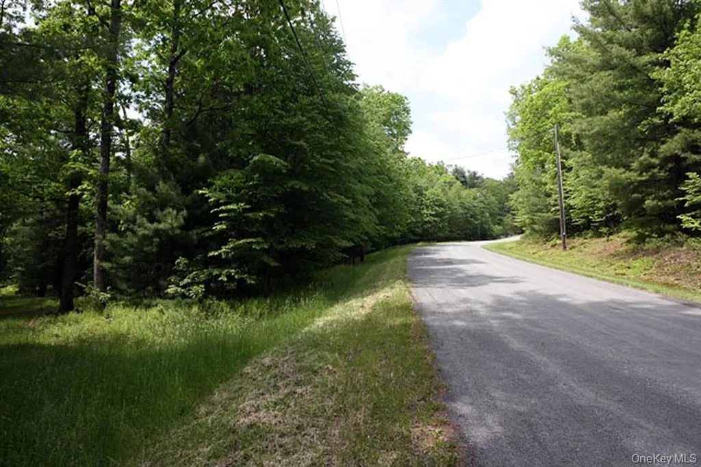 Country Road Callicoon NY 12723