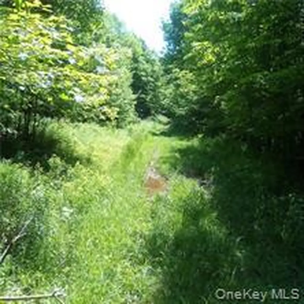 3190 County Highway 22 Walton NY 13856