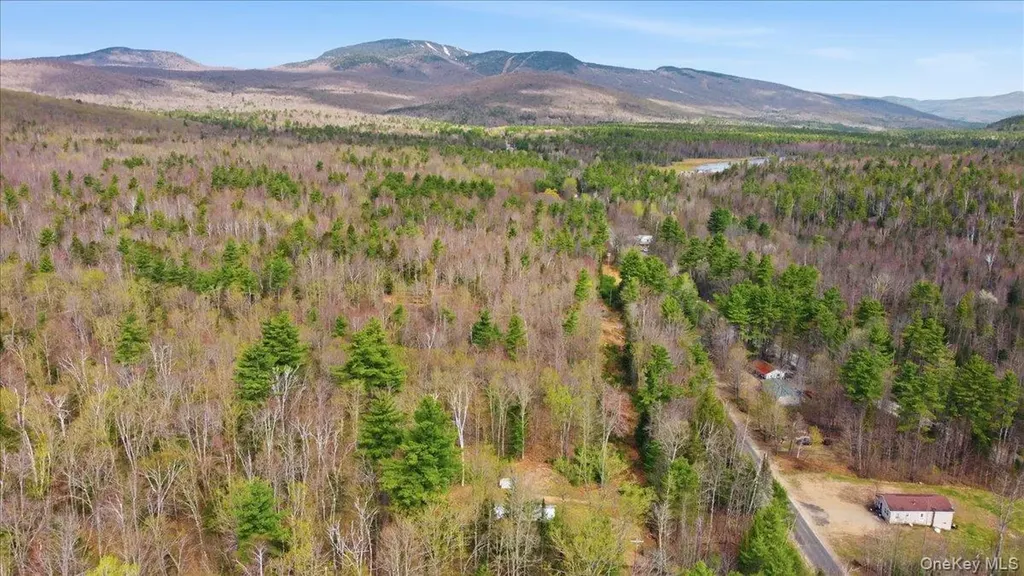 34 Park Road Call Listing Agent NY 12843
