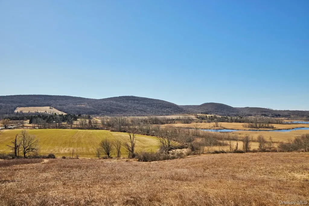 87 Kaye Road Millerton NY 12546
