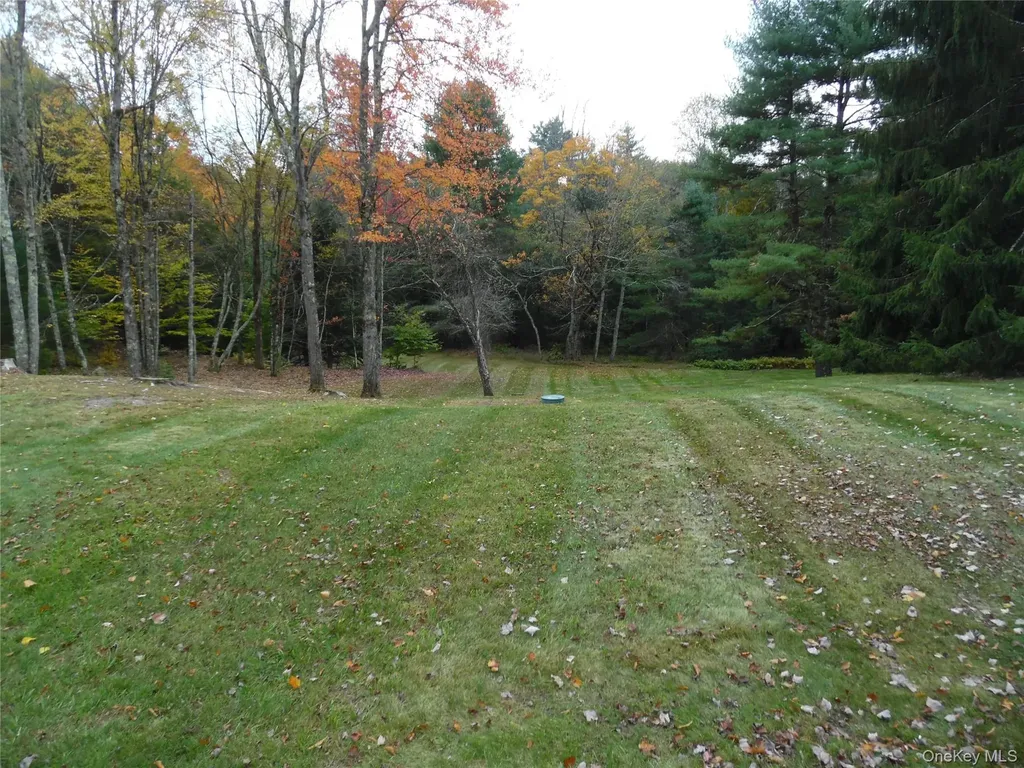 38 E Glen Wild Road Glen Wild NY 12738