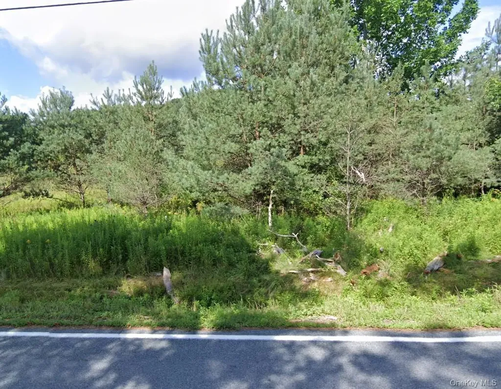 00 County Road 164 Callicoon NY 12723