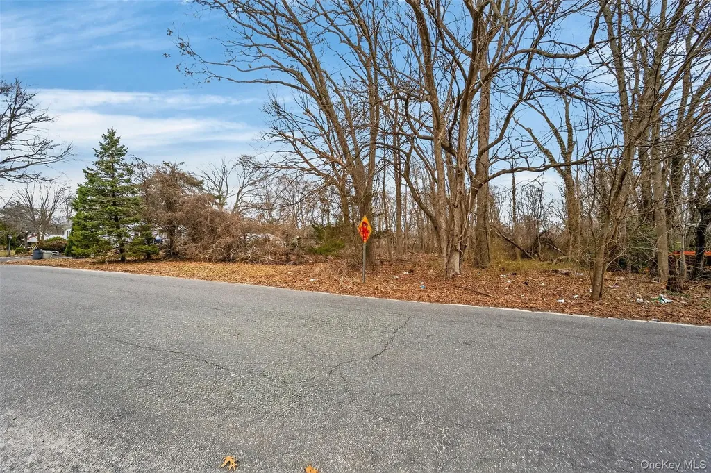 29 Main Avenue Centereach NY 11720