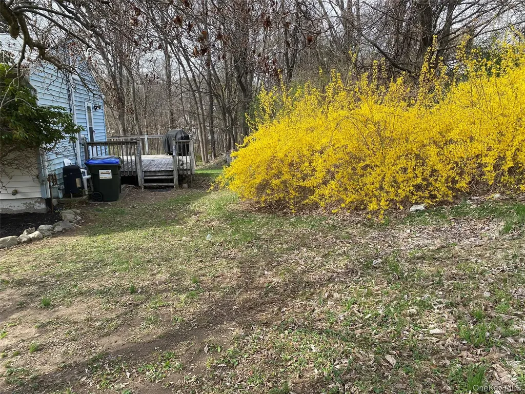 43 Duelk Avenue Monroe NY 10950