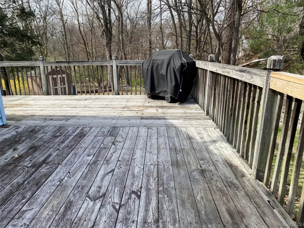 43 Duelk Avenue Monroe NY 10950