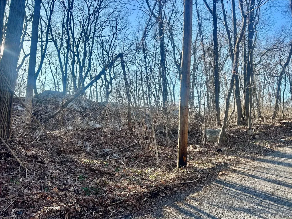 Hillside Road Carmel NY 10512