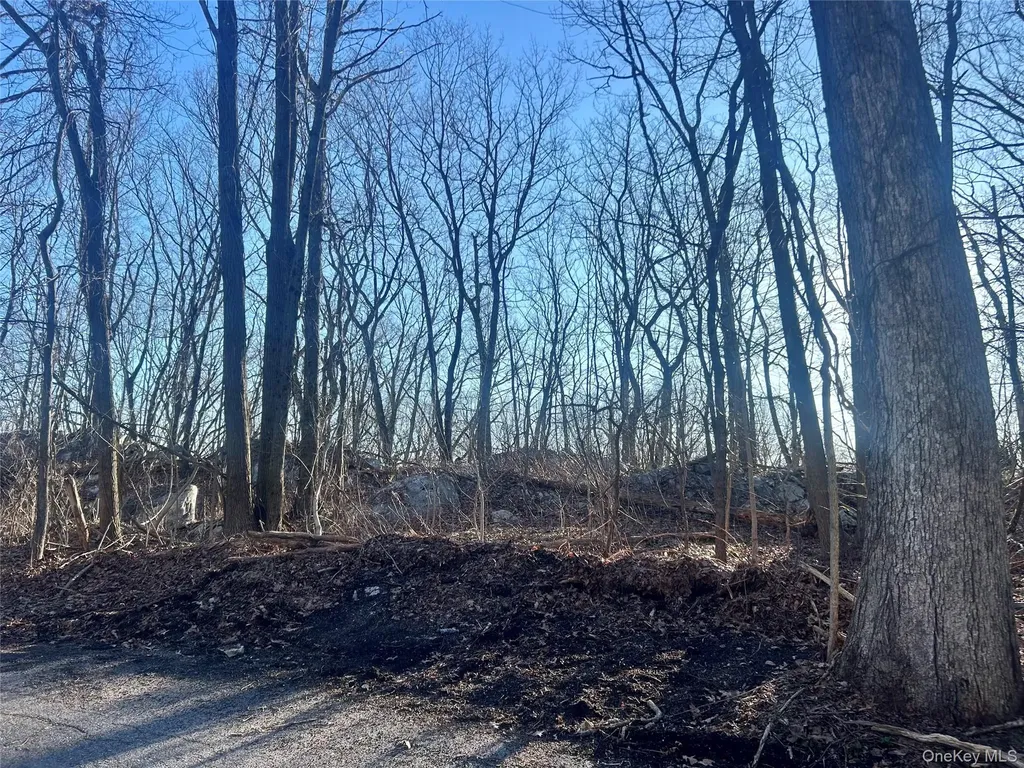 Hillside Road Carmel NY 10512