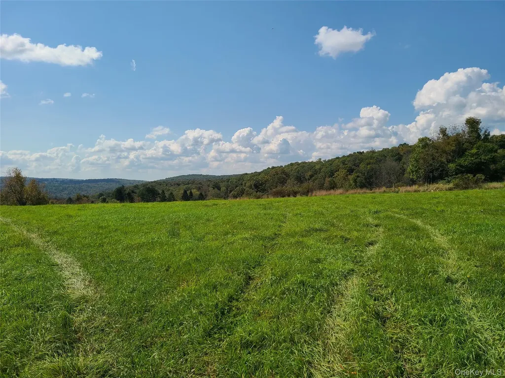 356 Gabel Road Callicoon NY 12723