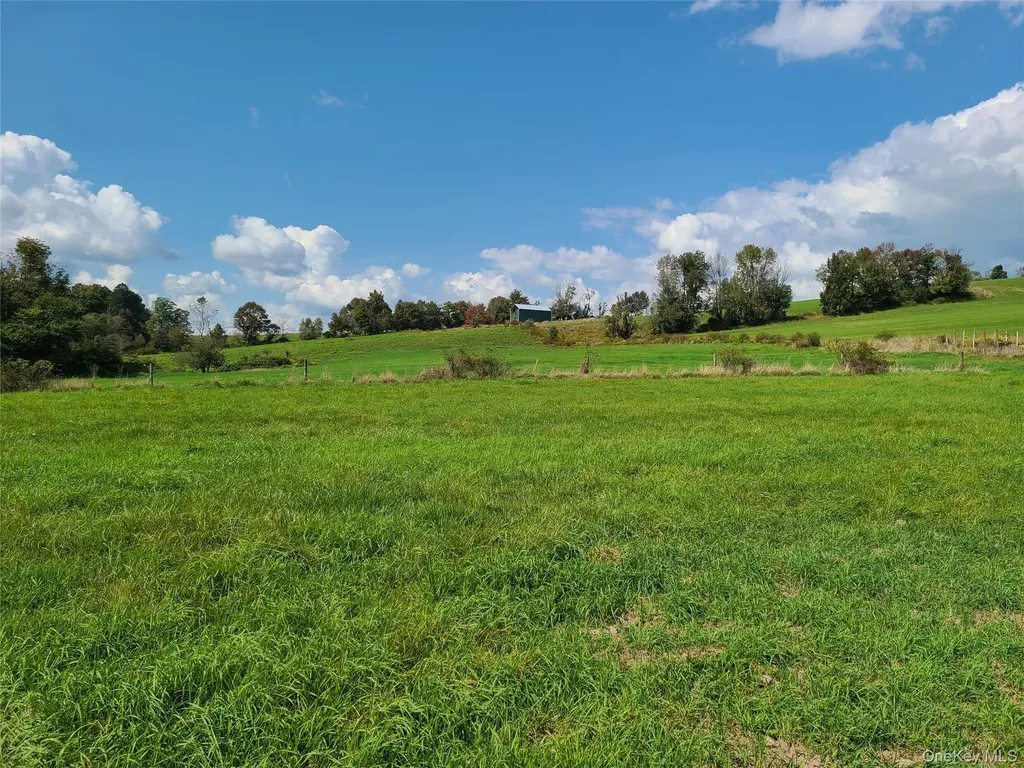 356 Gabel Road Callicoon NY 12723