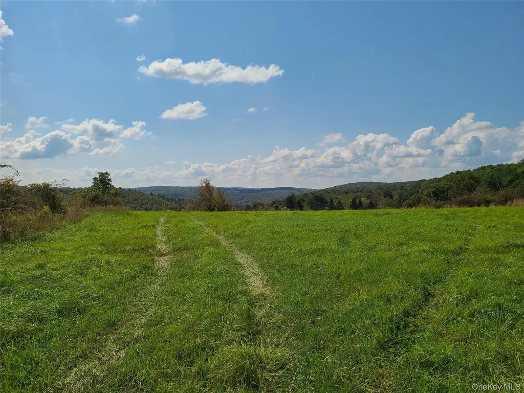 356 Gabel Road Callicoon NY 12723
