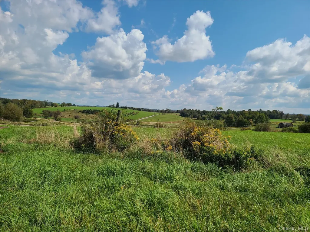 356 Gabel Road Callicoon NY 12723