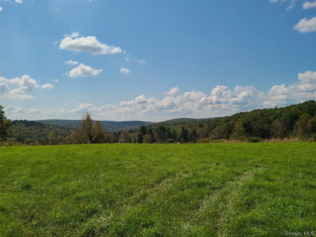 356 Gabel Road Callicoon NY 12723
