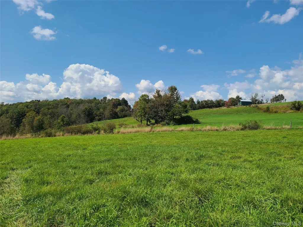 356 Gabel Road Callicoon NY 12723