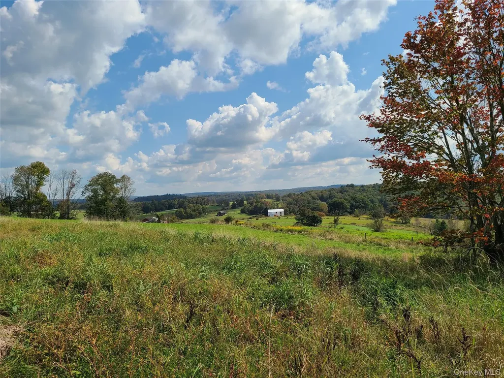 356 Gabel Road Callicoon NY 12723