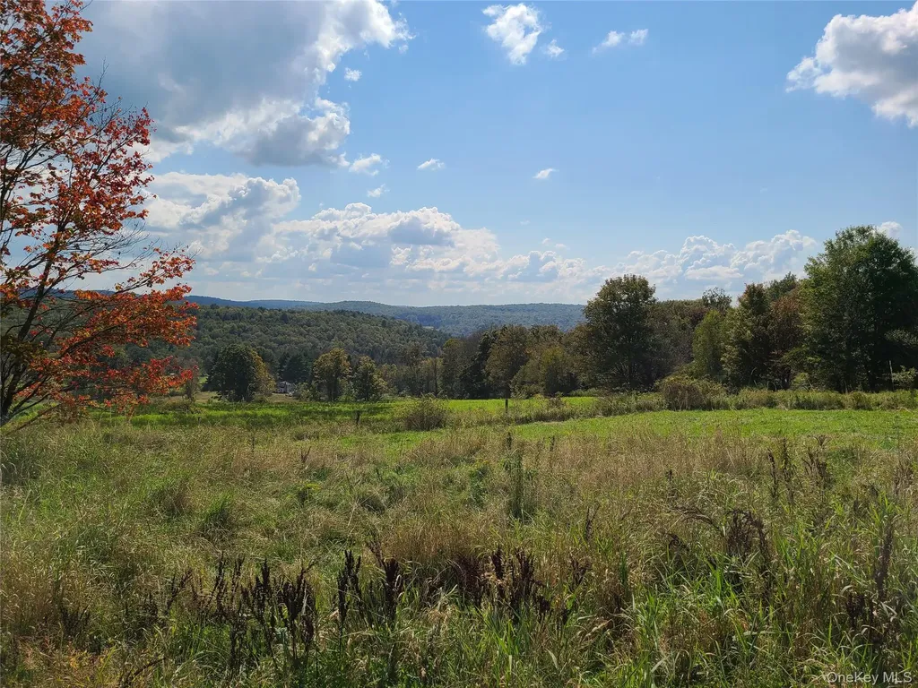 356 Gabel Road Callicoon NY 12723
