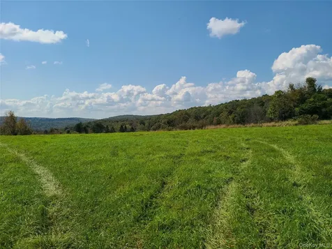 356 Gabel Road Callicoon NY 12723