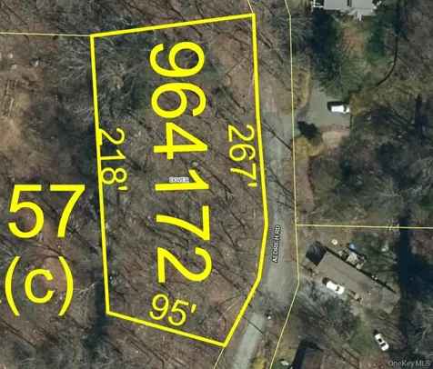 Aldrich Road Wingdale NY 12594
