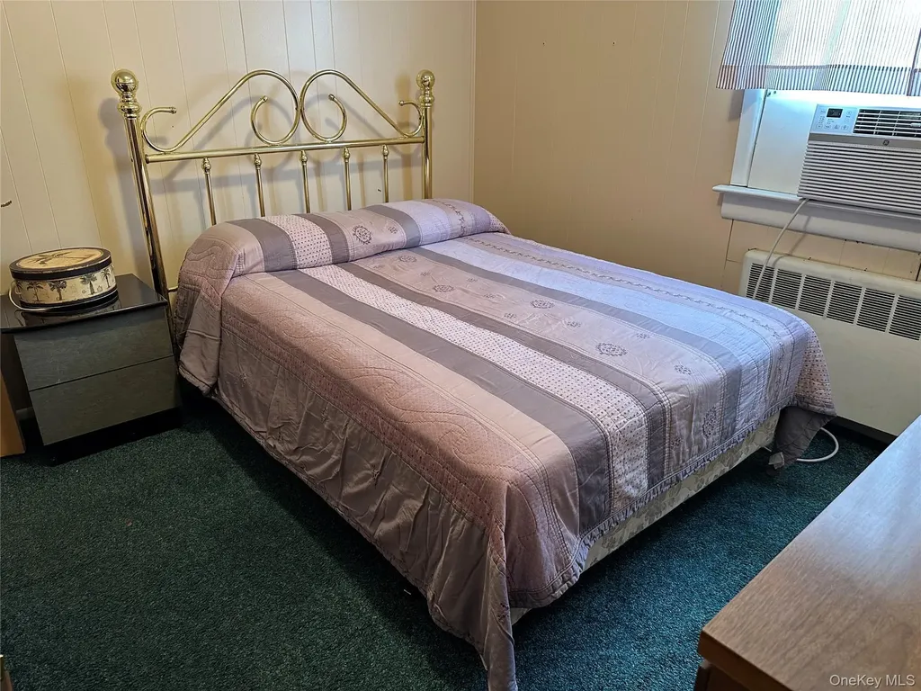 1009 Park Lane N Franklin Square NY 11010