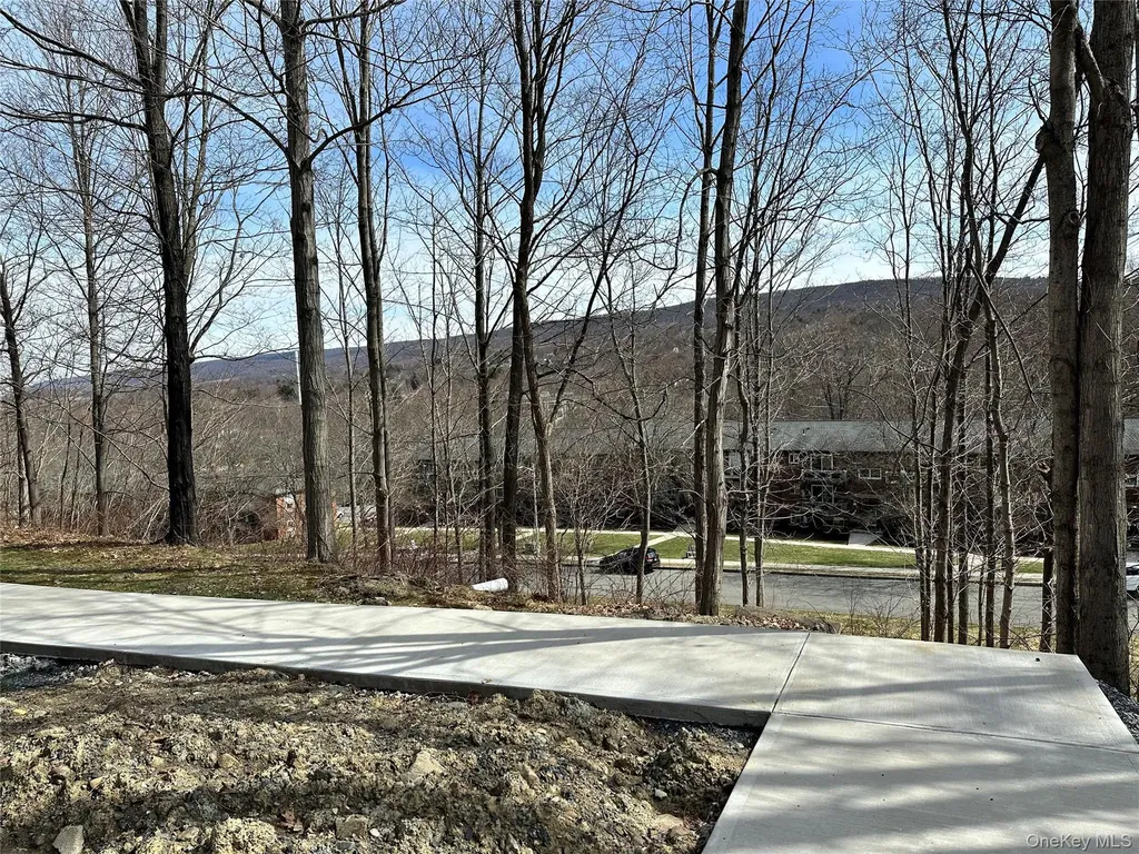 20 Peddler Hill Monroe NY 10914