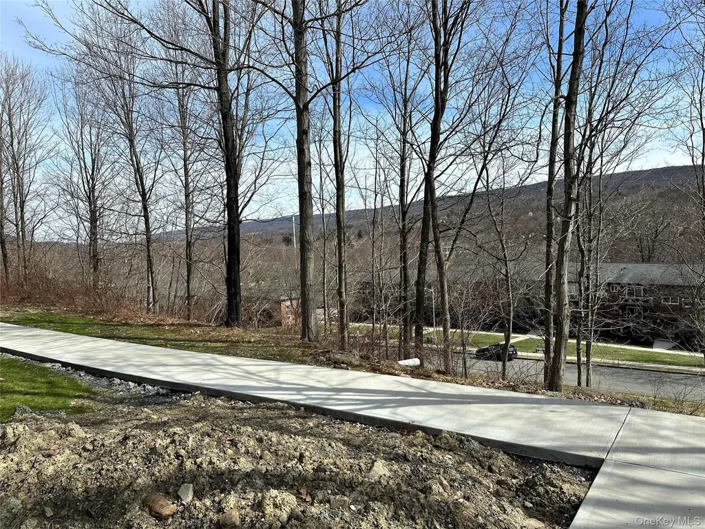 20 Peddler Hill Monroe NY 10914