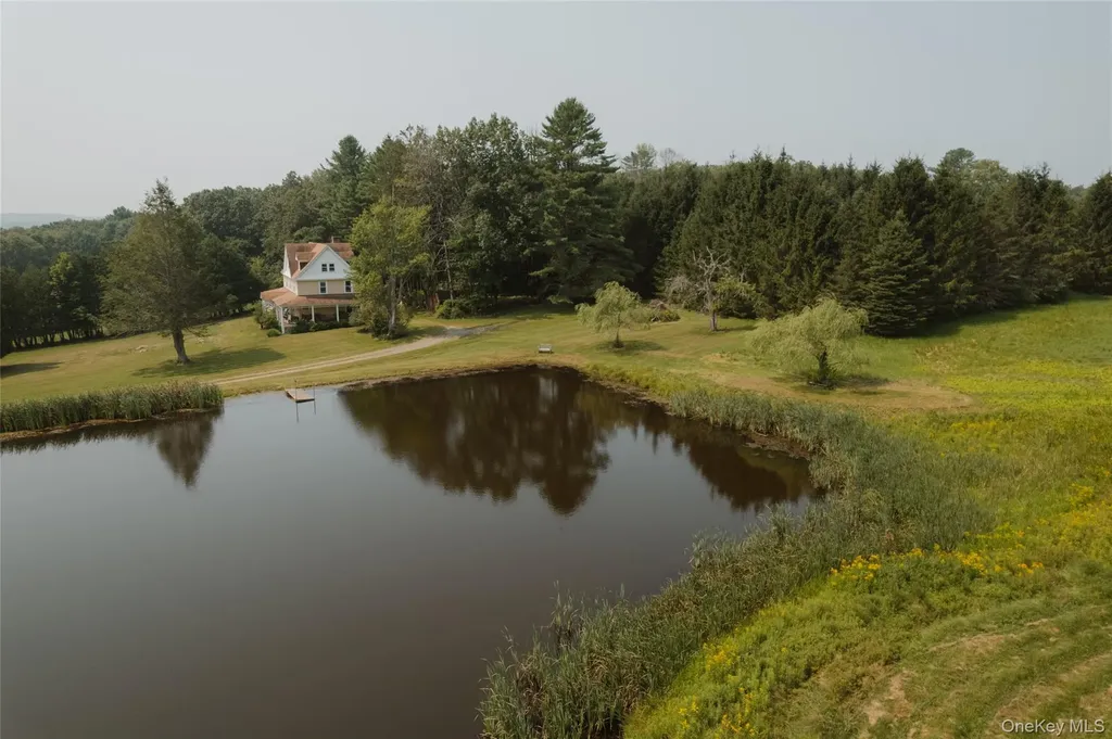 91 Old Hankins Road Callicoon NY 12723