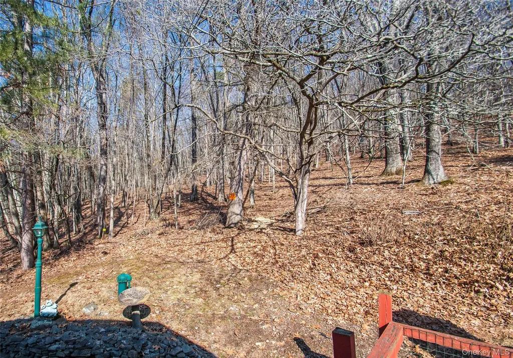 57 County Road 132 Hankins NY 12741