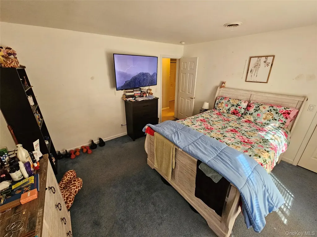 65 W Peenpack Trail Sparrowbush NY 12780