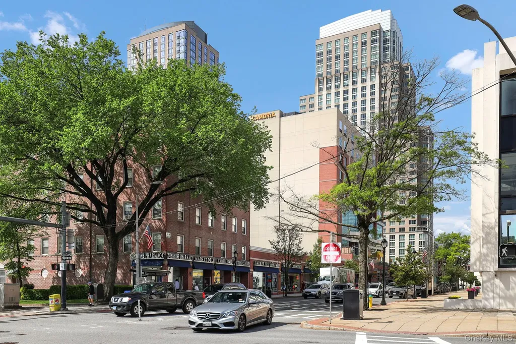 20 N Broadway White Plains NY 10601