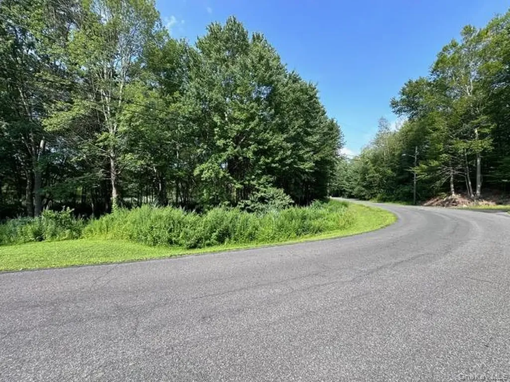 Crest Lane Highland NY 12528