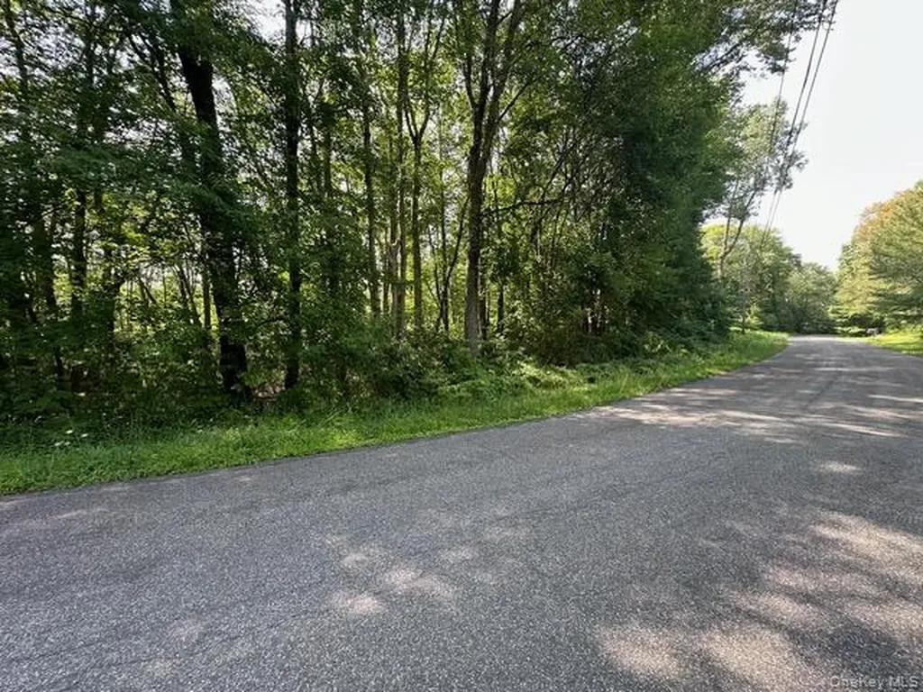 Crest Lane Highland NY 12528