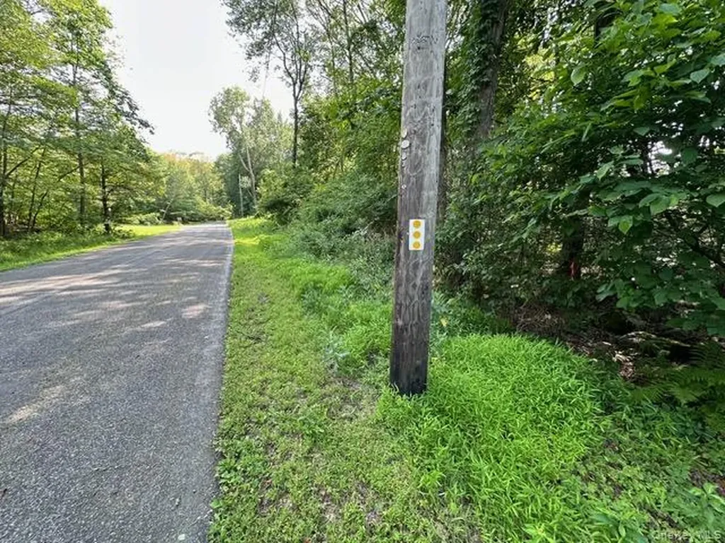 Crest Lane Highland NY 12528