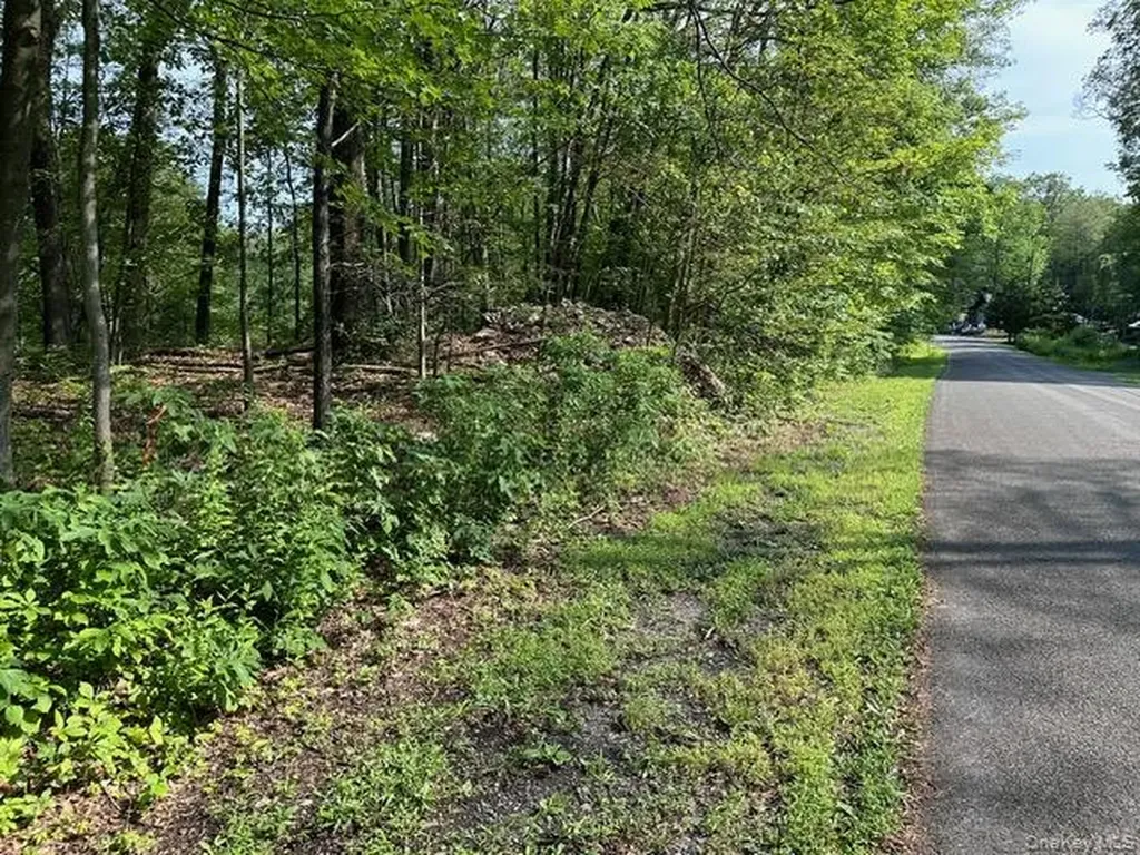 Crest Lane Highland NY 12528