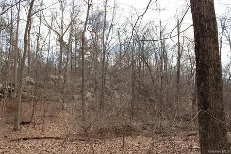 19 S Cross Road Staatsburg NY 12580