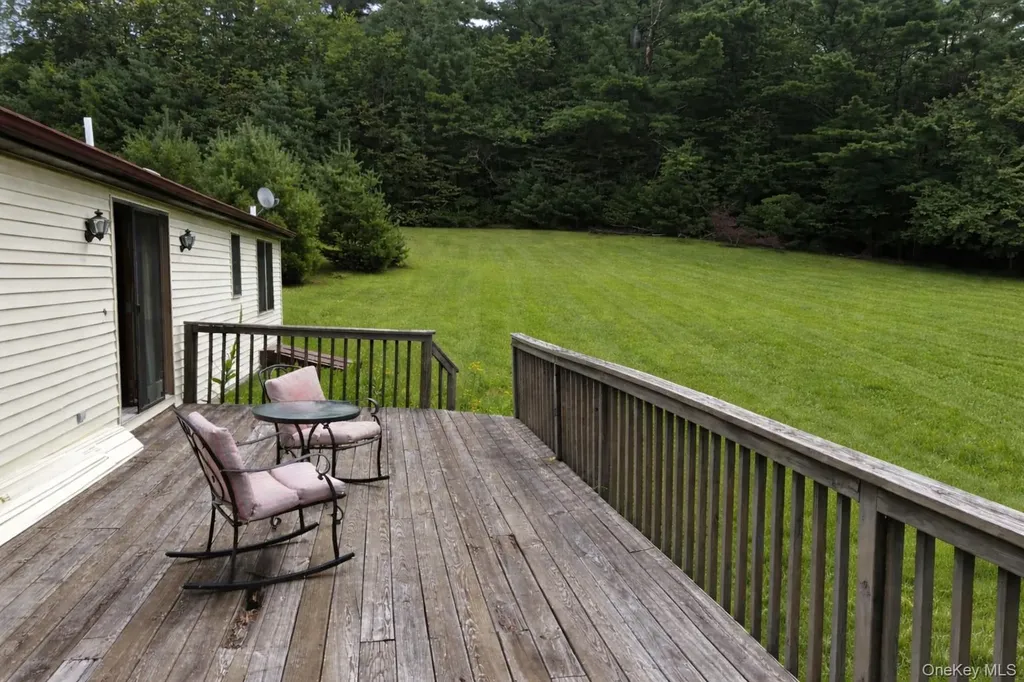 14 Meadowmere Lane Liberty NY 12754