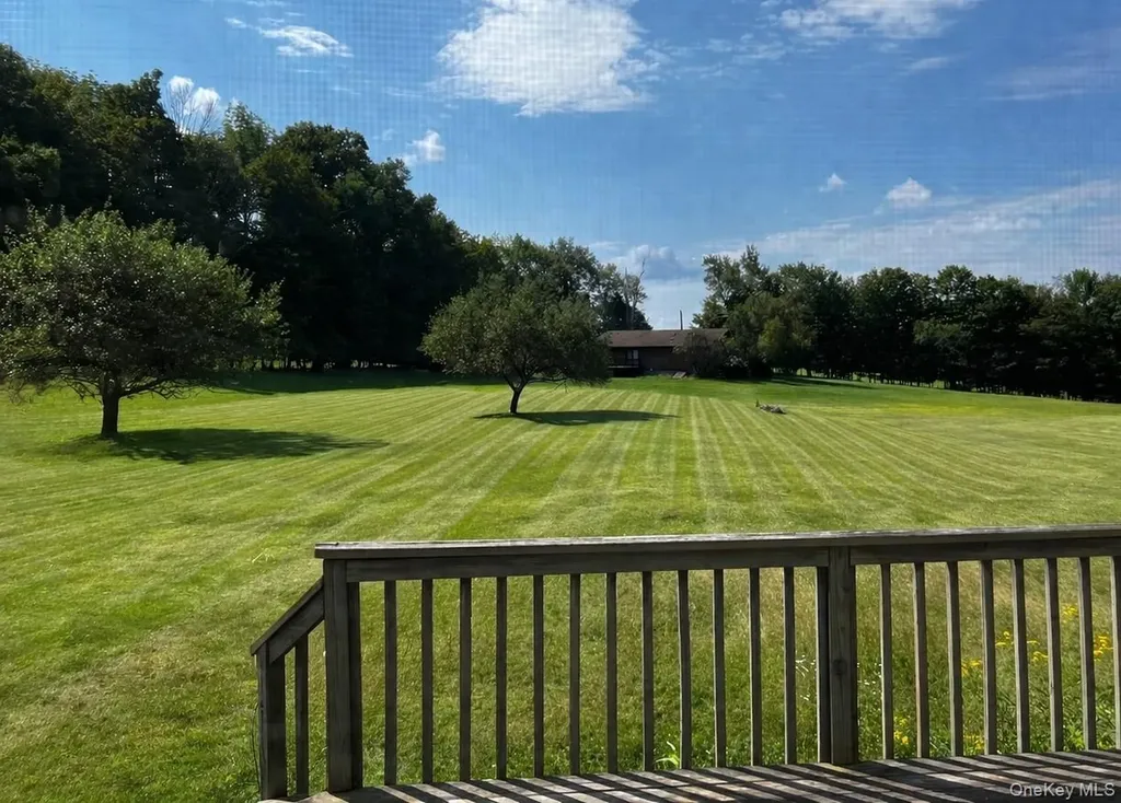 14 Meadowmere Lane Liberty NY 12754