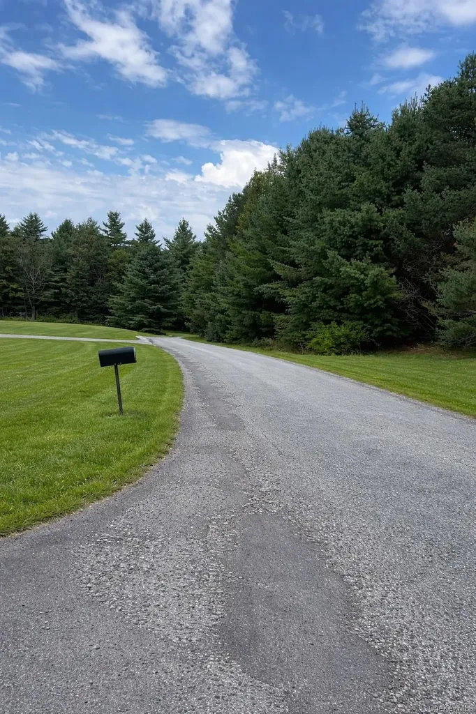 14 Meadowmere Lane Liberty NY 12754