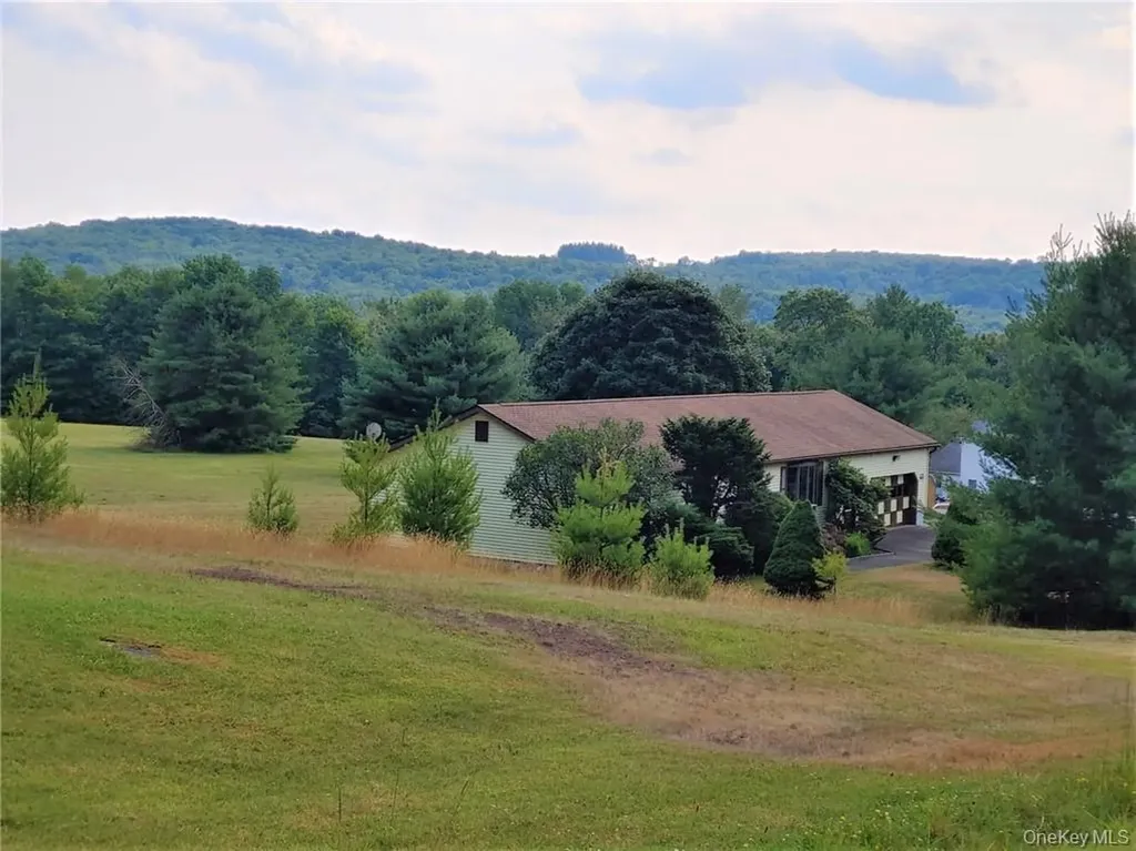 14 Meadowmere Lane Liberty NY 12754