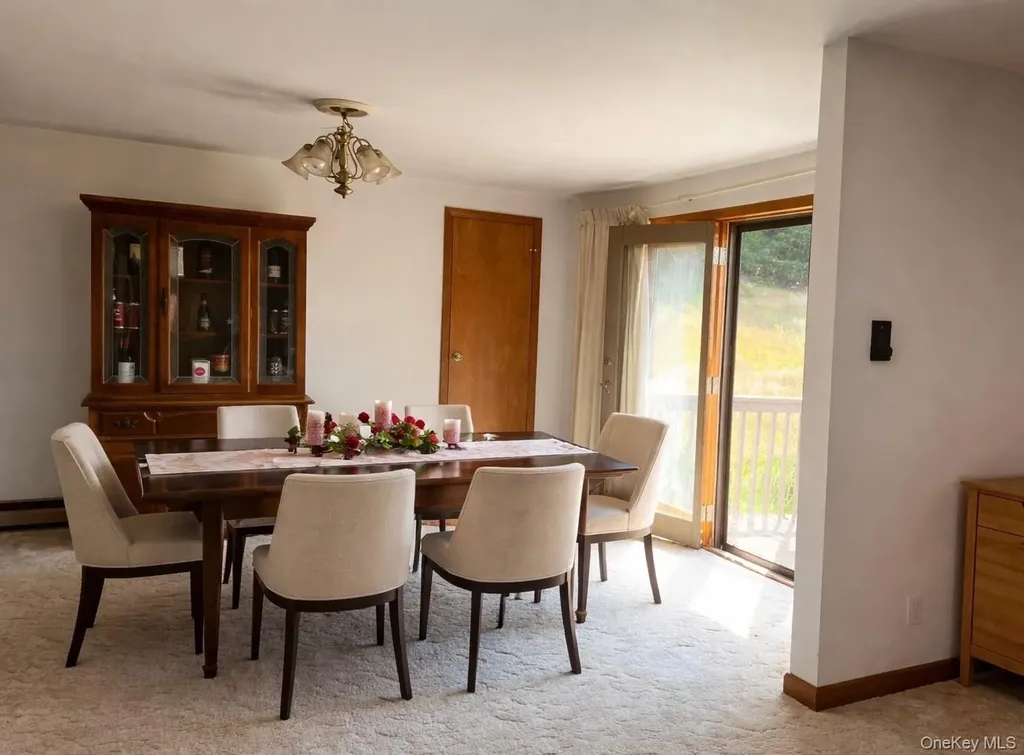 14 Meadowmere Lane Liberty NY 12754