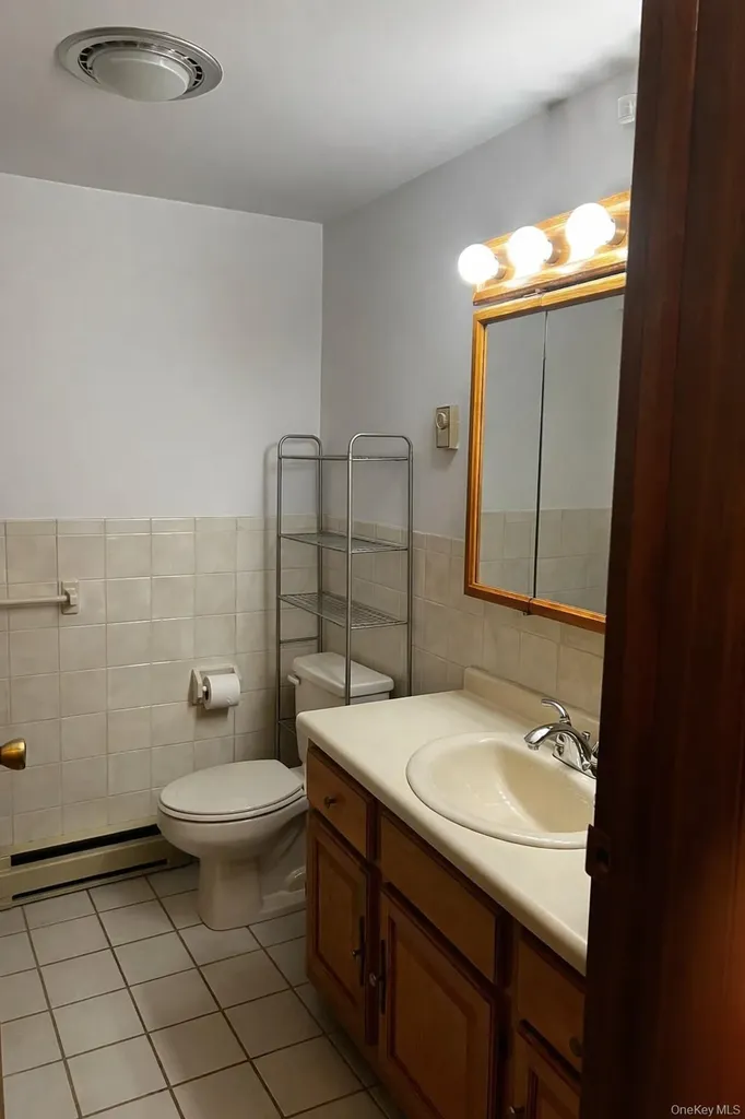 14 Meadowmere Lane Liberty NY 12754