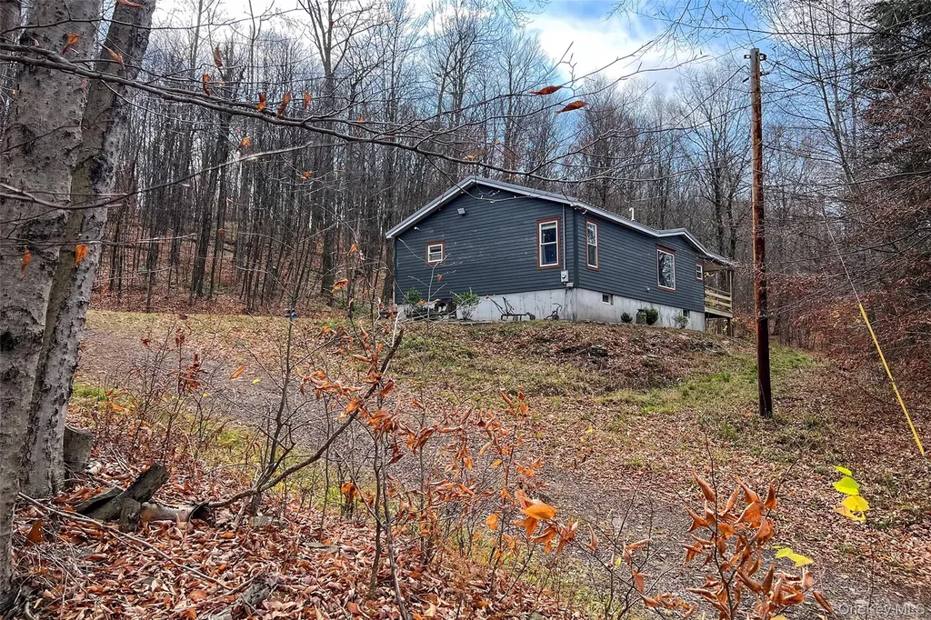 464 Curtis Lane Hamden NY 13782