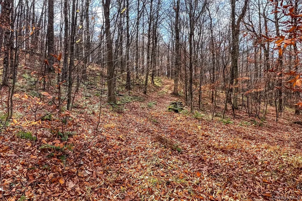 464 Curtis Lane Hamden NY 13782