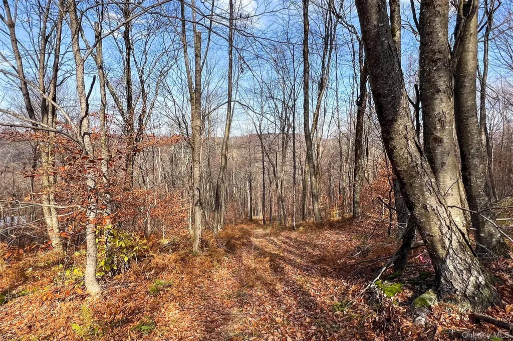 464 Curtis Lane Hamden NY 13782