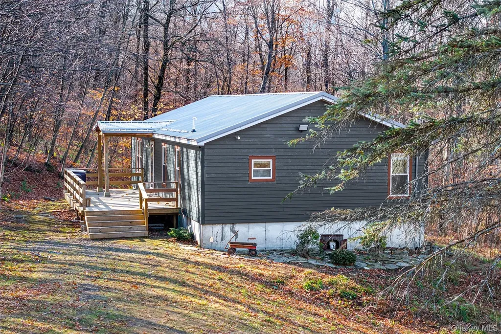 464 Curtis Lane Hamden NY 13782