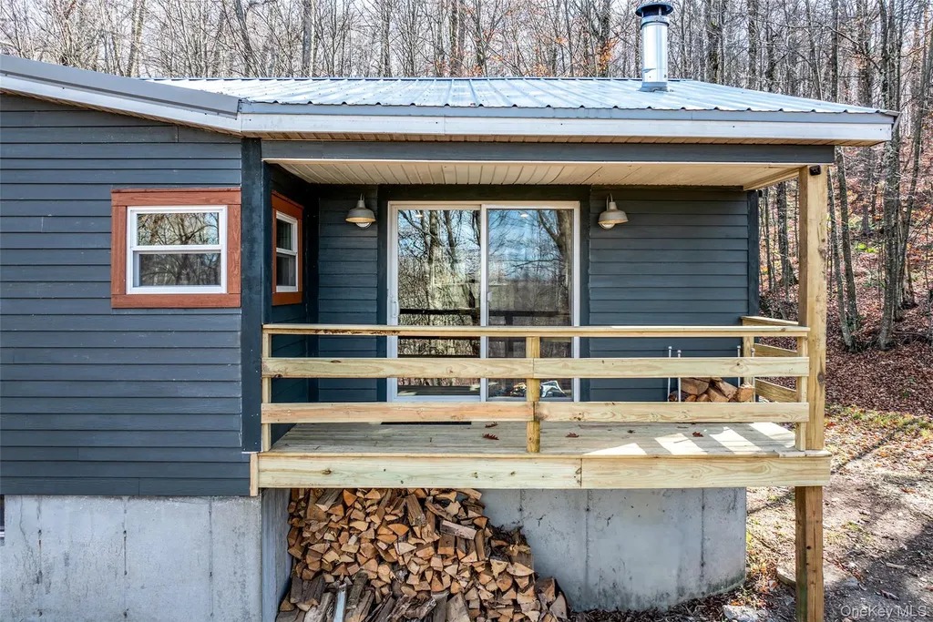 464 Curtis Lane Hamden NY 13782