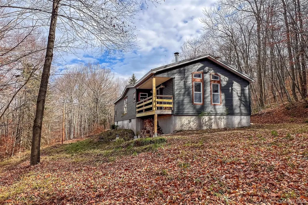 464 Curtis Lane Hamden NY 13782