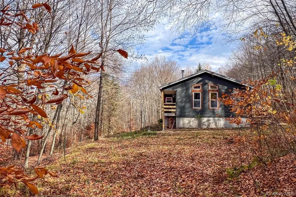 464 Curtis Lane Hamden NY 13782