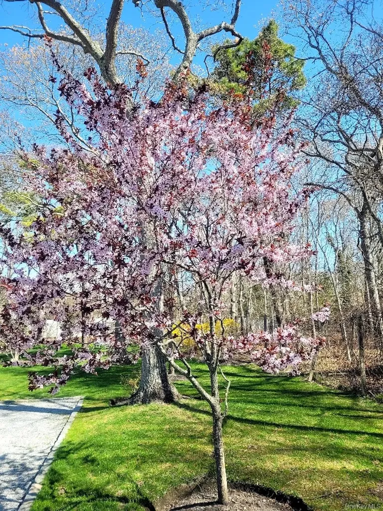 23 N Westbury Road Hampton Bays NY 11946
