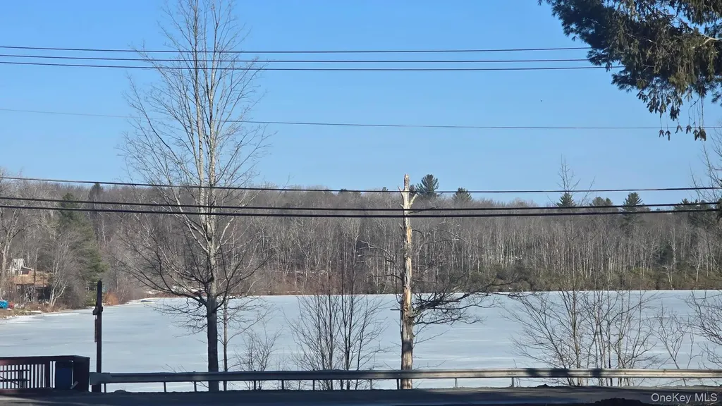 1122 State Route 52 Loch Sheldrake NY 12759