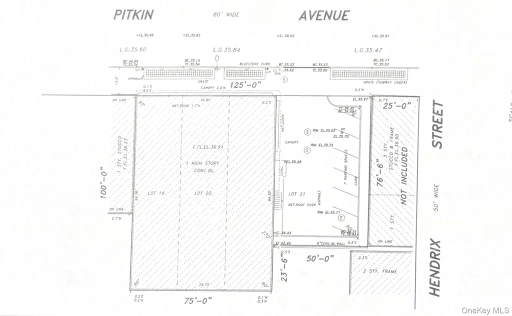 2232 Pitkin Avenue Brooklyn NY 11207
